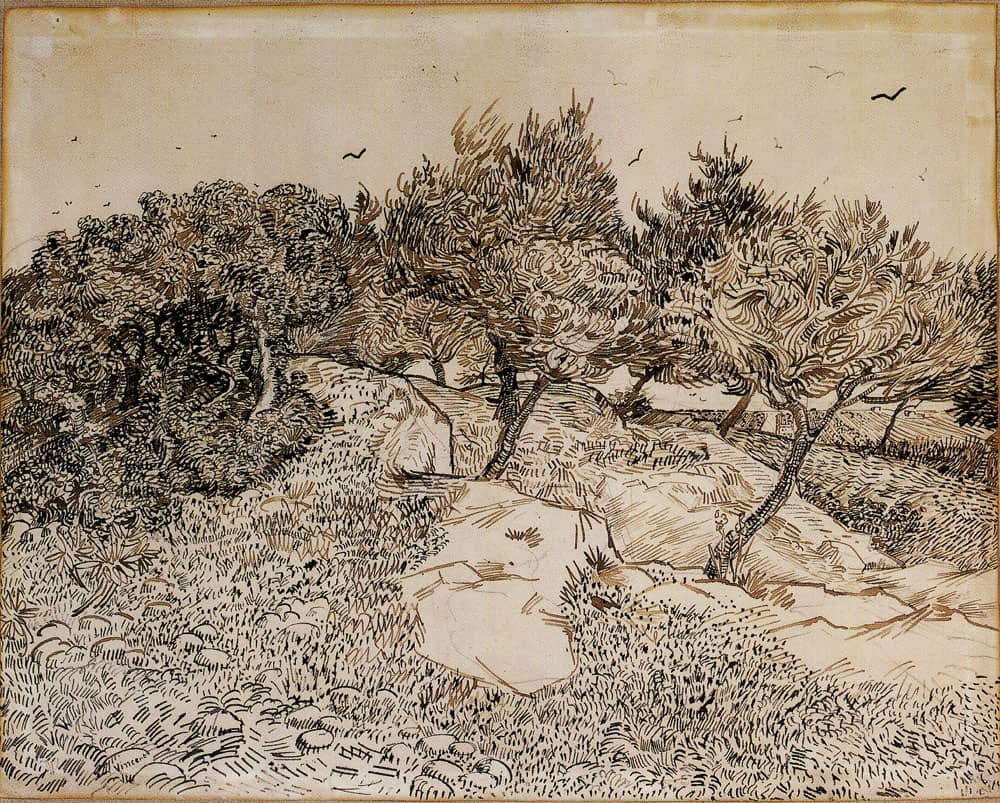 Olive Trees Montmajour - by Vincent van Gogh
