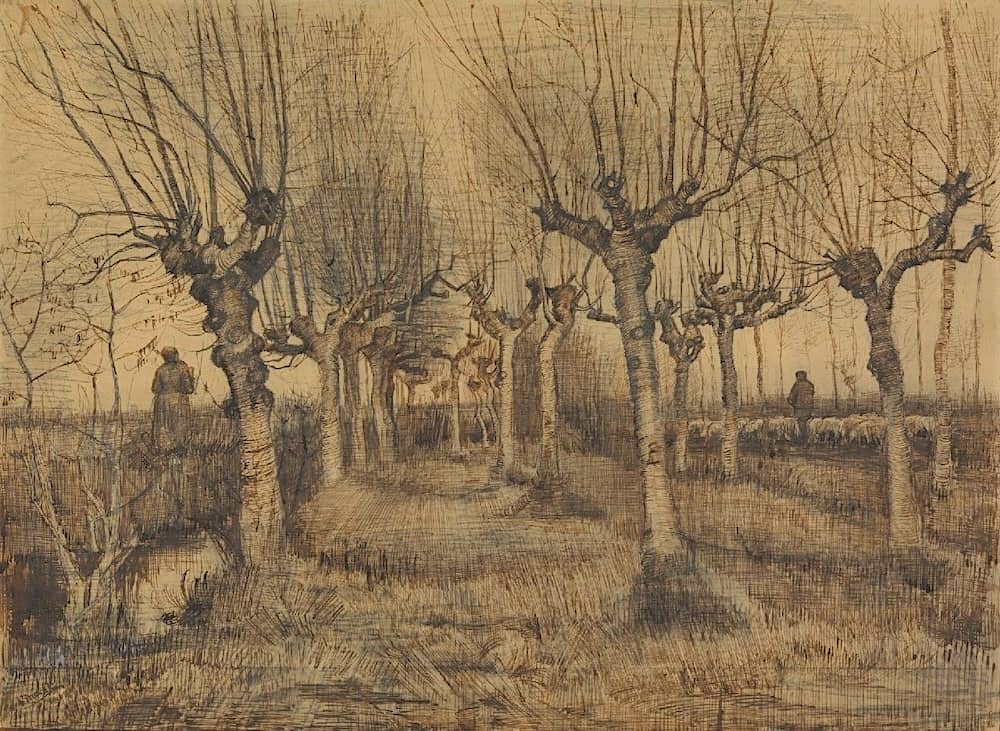 Pollard Birches - by Vincent van Gogh