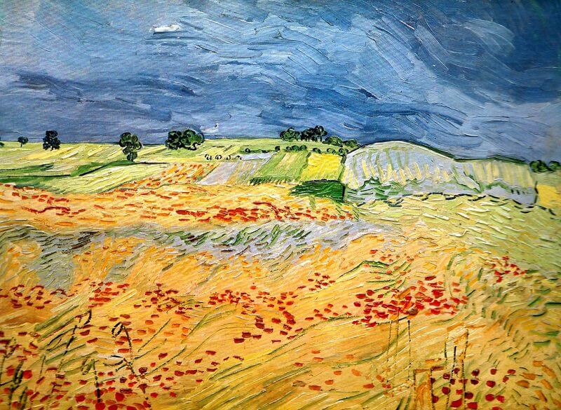 Fields with Blooming Poppies, 1890  by Vincent van Gogh