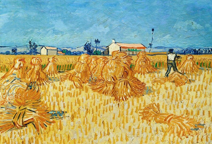 Harvest in Provence, 1888 by Vincent Van Gogh
