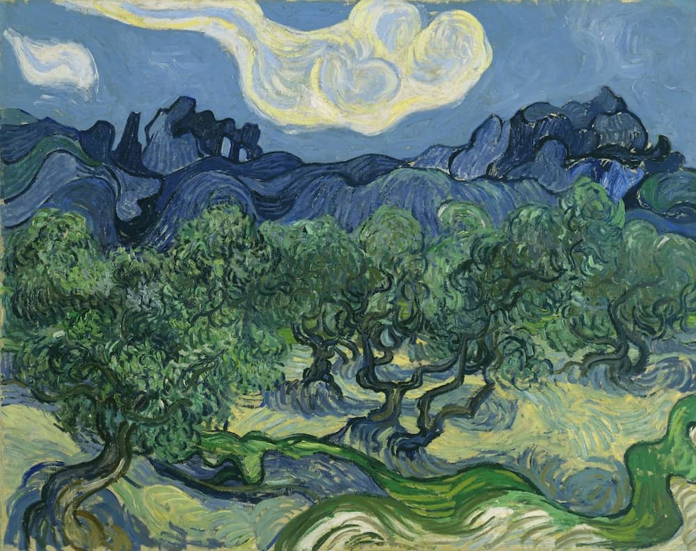 Landscape with Olive Trees, 1889 by Vincent Van Gogh