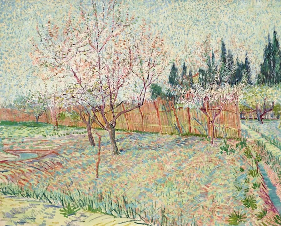 Orchard, Springtime, 1888 by Vincent Van Gogh