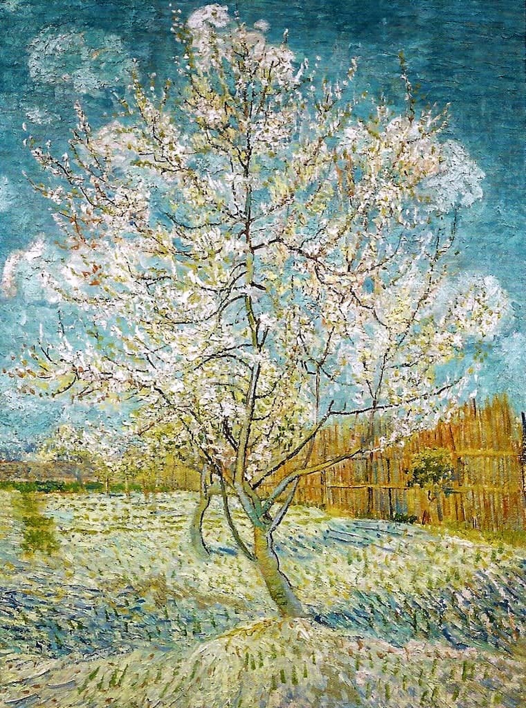 Peach Tree in Blossom, 1888 by Vincent Van Gogh
