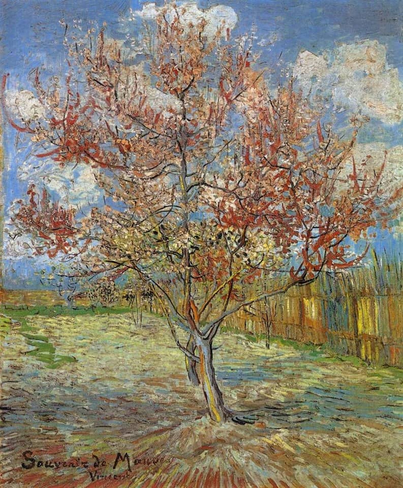 Pink Peach Trees, 1888 by Vincent van Gogh
