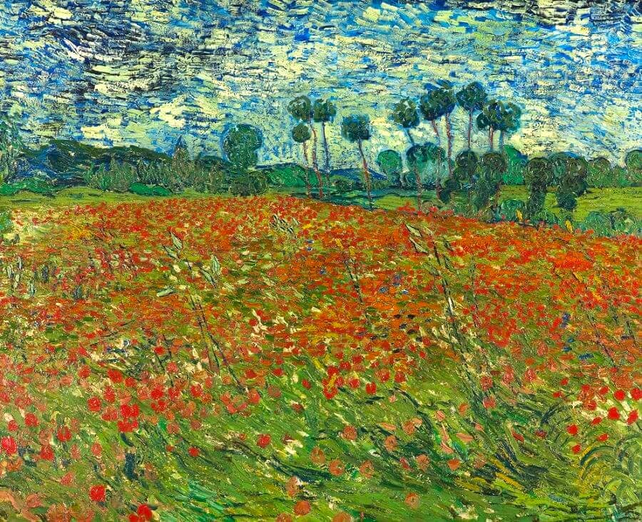 Poppy Field, 1890 by Vincent Van Gogh
