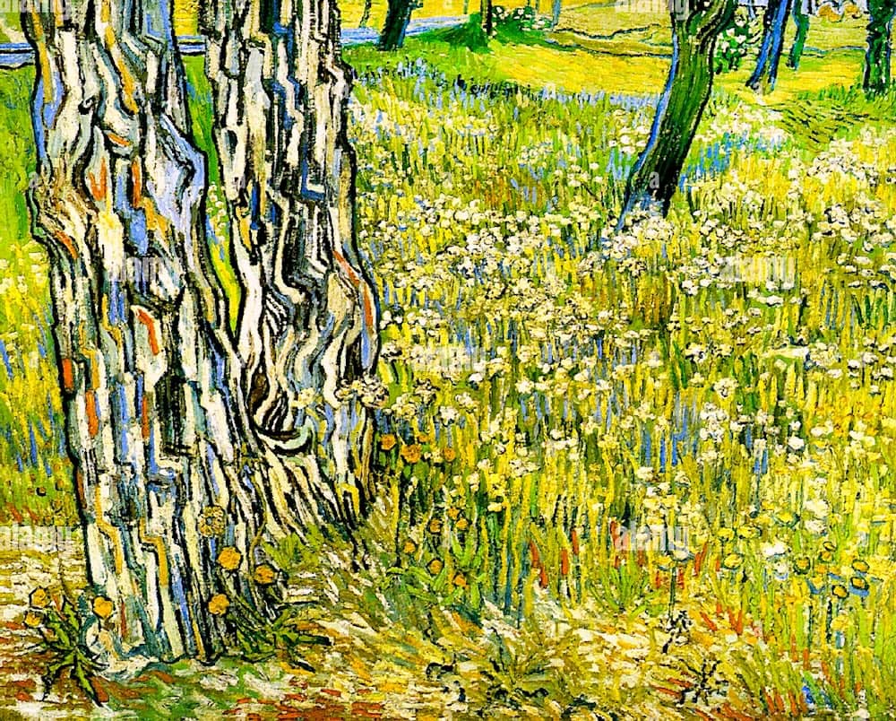 Tree Trunks in the Grass, 1890 by Vincent Van Gogh