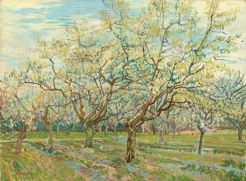 The White Orchard, 1888 by Vincent Van Gogh