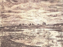 A Marsh by Vincent van Gogh