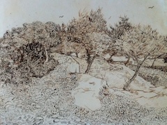 Olive Trees Montmajour by Vincent van Gogh
