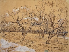 Provencal Orchard by Vincent van Gogh