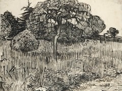 Weeping Tree in the Grass by Vincent van Gogh