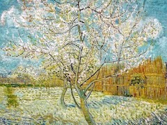 Peach Trees in Blossom by Vincent van Gogh
